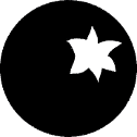 mirtillo