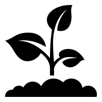 tutti