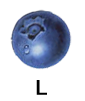 mirtillo