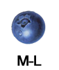 mirtillo