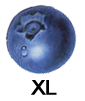 mirtillo