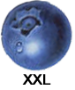 mirtillo