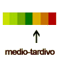 mirtillo