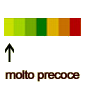 mirtillo
