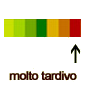 mirtillo